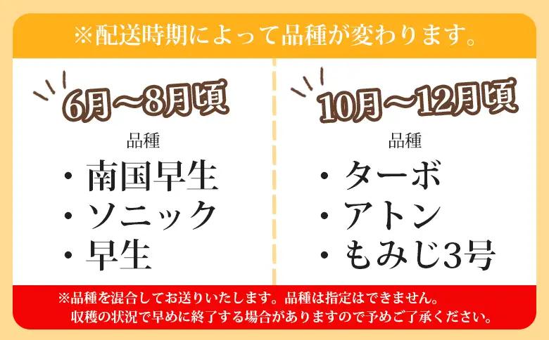 玉ねぎ 10kg 家庭用 野菜 高知 大小混合 【玉ねぎ 玉葱 タマネギ 玉ねぎ 高知県 たまねぎ 玉ねぎ 玉ねぎ 玉ねぎ 玉ねぎ 玉ねぎ】 高知県 香南市 ke-0038
