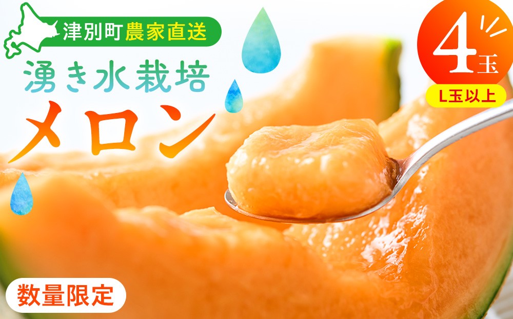 
                  【R8年収穫分】【数量限定】さのさん家のメロン（L玉以上）４玉 湧き水栽培 さの農場 | 北海道津別町
                