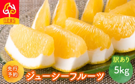 【先行予約】【訳あり】ジューシーフルーツ5kg（2027年5月中旬より順次発送）【ふるさと納税 人気 おすすめ ランキング みかん ミカン 蜜柑 ジューシーフルーツ 5kg フルーツ 訳あり果物 産地直送 ニュウズ 愛媛県産 愛媛県 伊方町 送料無料】IKTF039