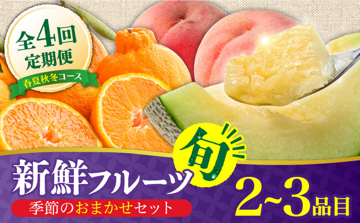 【4回定期便】フルーツ定期便 旬の果物をお任せで2～3品目お届け（2～3品目×4回） / 季節の果物 春フルーツ 夏フルーツ 秋フルーツ 冬フルーツ / 南島原市 / 吉岡青果 [SCZ020]