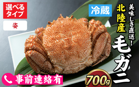 【姿】【成前特選】美味しさ直送！北陸産毛ガニ700ｇ前後×1杯（オス） [D-028007_01]