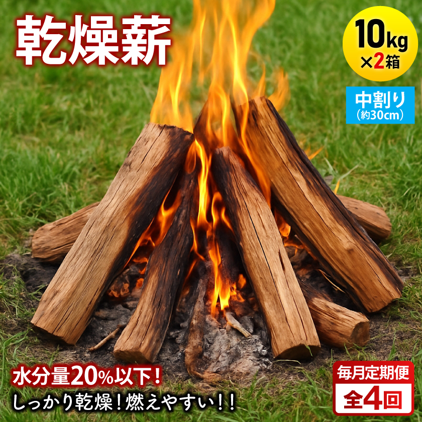 【毎月定期便】乾燥薪 キャンプ用 10kg×2箱 中割(約30cm) 広葉樹ミックス全4回【4087720】
