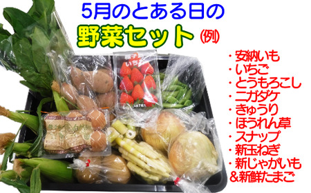 種子島発！旬の野菜と玉子セット　360ｐｔ　NFN194