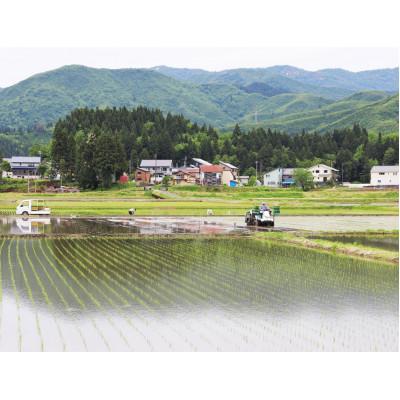 ふるさと納税 魚沼市 令和7年産　魚沼産コシヒカリ　精米5kg |  | 01