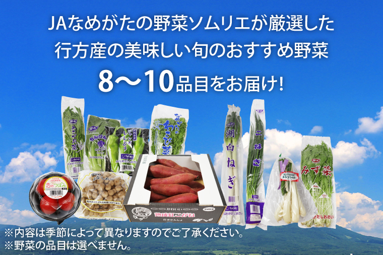 AE-24 『行方かんしょ』入り【6ヶ月定期便】JAなめがたしおさい 季節の野菜セット（毎月1回 計6回発送）