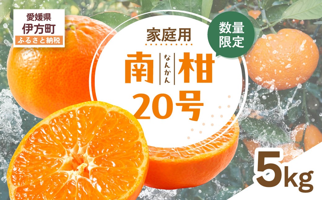 【先行受付】【数量限定】【家庭用】南柑20号（生果）5kg（2026年12月上旬頃より順次発送） IKTQ011