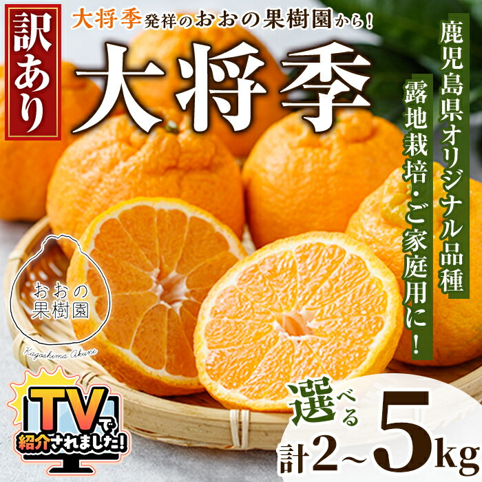 【ふるさと納税】＼テレビで紹介されました！／＜先行予約受付中！2027年3月中旬以降順次発送予定＞＜容量が選べる！＞数量限定！訳あり・ご家庭用！おおの果樹園の「大将季」(計2〜5kg) 訳あり 訳アリ 果物 フルーツ 果実 柑橘 露地栽培 無加温 みかん【おおの果樹園】