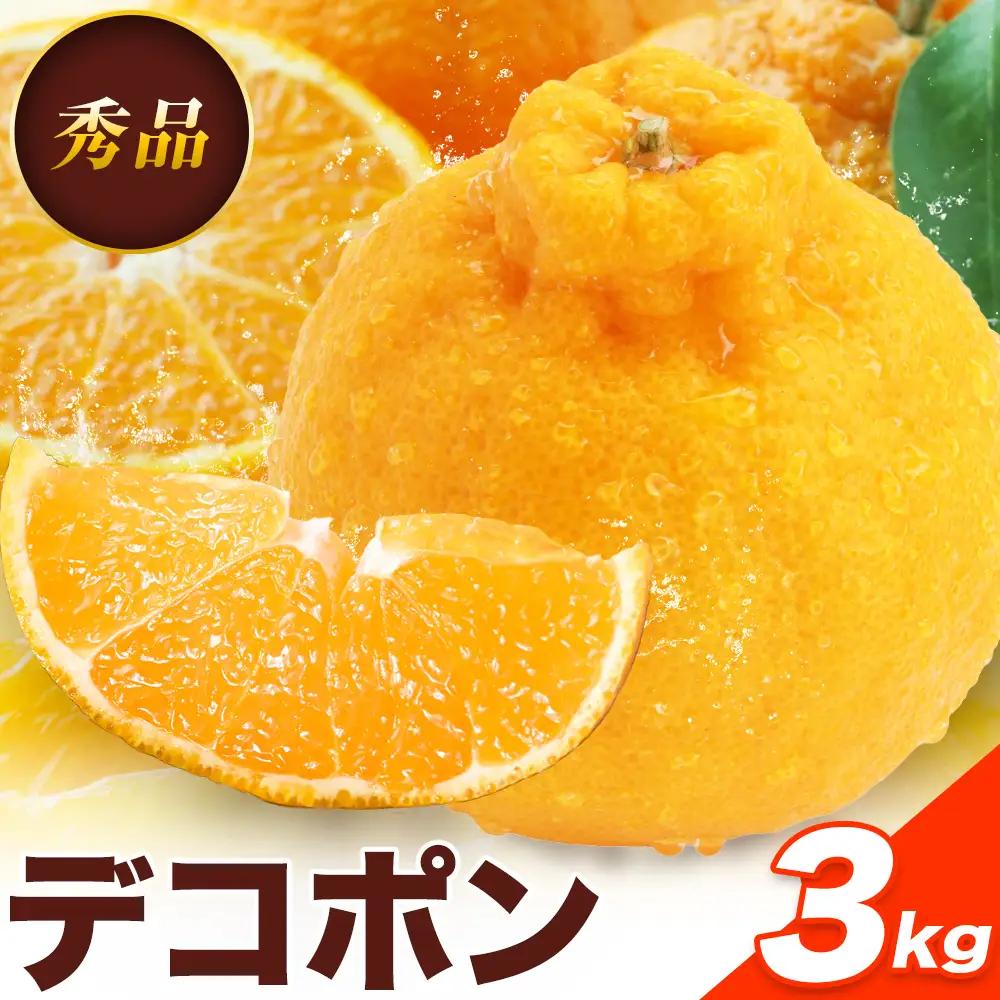 贈答用 デコポン  3kg  日本フルーツ株式会社 熊本県 荒尾市 《12月中旬-4月中旬頃出荷》 デコポン 果物 秀品 フルーツ スイーツ デザート ギフト ご贈答