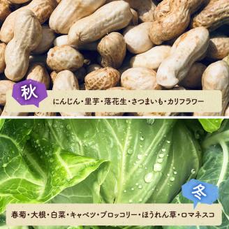 野菜セット 定期便 6ヶ月 旬の採りたて 野菜 フルーツ 詰め合わせ セット 野菜定期便 野菜詰め合わせ フルーツ詰め合わせ フルーツセット 季節の野菜 季節の果物 くだもの 果物 果樹 神奈川 定期