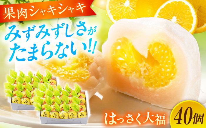
            お菓子 はっさく大福20個入×2  お菓子 大福 八朔 柑橘 みかん オレンジ 餅 ギフト お取り寄せ スイーツ フルーツ大福 ご当地 菓子 おかし デザート 食品 人気 おすすめ 果汁 広島県産 特産品 産地直送 お取り寄せ 贈り物 ギフト 贈答品 絶品 和菓子 定期便 国産 白あん 個包装 逸品 定期便 福山スイーツ 広島県福山市/株式会社虎屋本舗[BADH033]
          