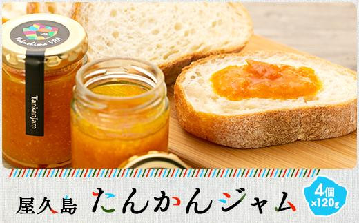 屋久島たんかんジャム４個セット