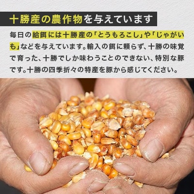【毎月定期便】北海道鹿追産 自然放牧 圧巻の黒豚 豚ジンギスカンのセット 900g全2回【配送不可地域：離島】