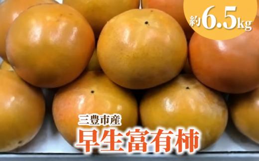 M02-0098_三豊市産早生富有柿 約6.5kg