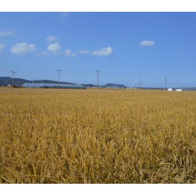 ふるさと納税 中間市 農家の直送米　ふくおかエコ農産物【農家のお米】10kg |  | 02