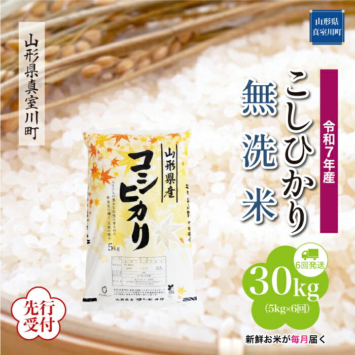 【ふるさと納税】 ※先行受付※ 令和7年産 真室川町厳選 コシヒカリ ［無洗米］ 30kg 定期便（5kg×6回お届け）