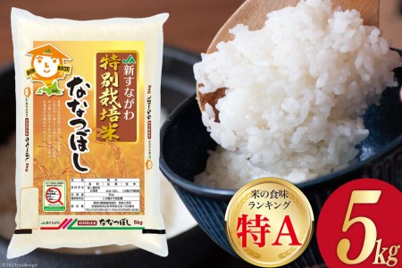 米 令和5年 JA新すながわ産 特栽米 ななつぼし 5kg [ホクレン商事 北海道 砂川市 12260389]