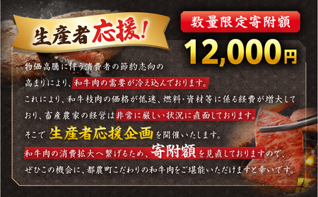 【3月以降順次発送】生産者応援≪肉質等級4等級以上≫宮崎県産黒毛和牛肩ローススライス(計400g) 肉 牛 牛肉 おかず 国産_T030-075-M