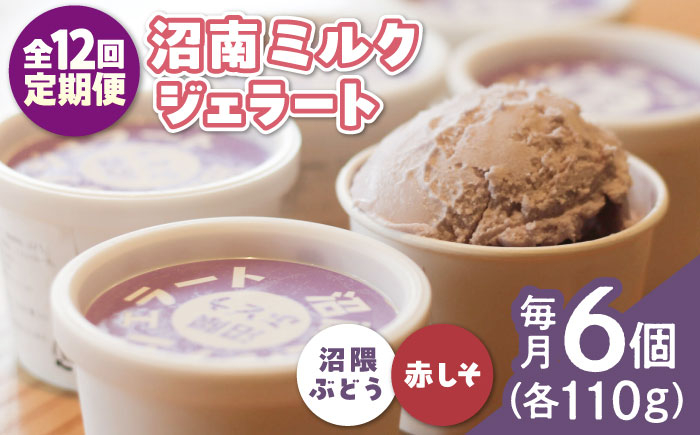 
                  【全12回定期便】アイス 沼南ミルクジェラート 沼隈ぶどう＆赤しそ 各3個 ぶどう ブドウ 赤しそ ジェラート セット アイスクリーム デザート スイーツ ご当地 ニューベリーA フルーツ ゆかり グルメ お取り寄せ お土産 食べ比べ 冷凍 贈答 贈り物 濃厚 さっぱり ミルク 味わい 新鮮 果物 特産品 美味しい おいしい 贅沢 カップアイス 定期便  広島県福山市/甚ごろう [BAEC048]
                