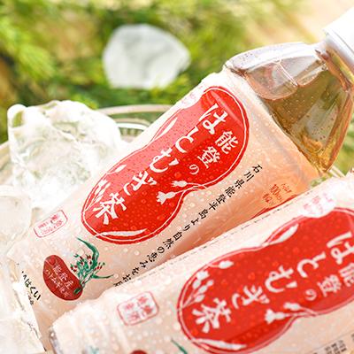 ふるさと納税 羽咋市 能登のはとむぎ茶　500ml×24本 |  | 01