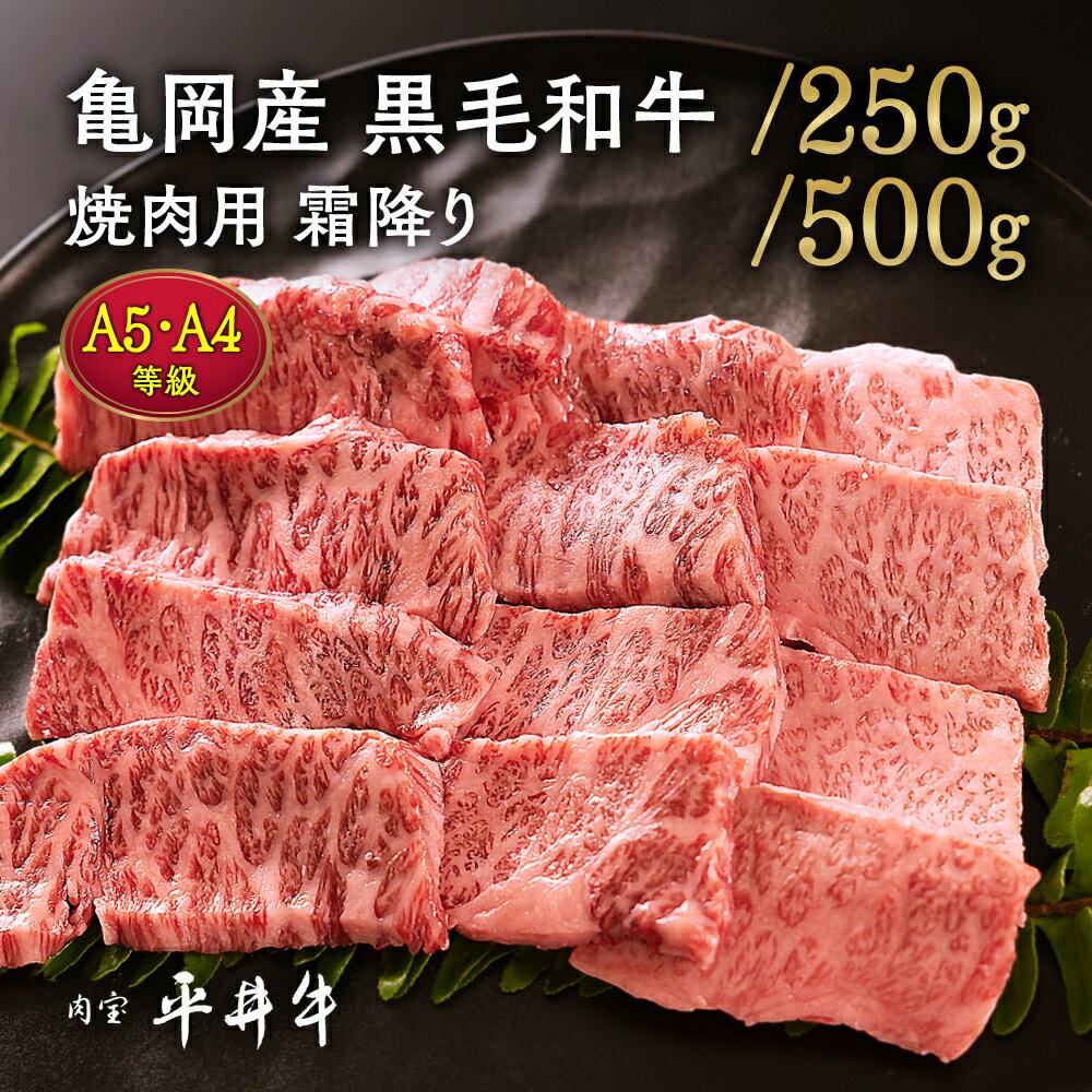 【ふるさと納税】【7営業日以内発送】＼選べる内容量／牛肉 最高級黒毛和牛『平井牛』A5・A4 焼肉用 霜降り 250g/500g ＜京都丹波牧場＞希少 和牛 京都肉 京都産 亀岡産 冷凍 真空パック 送料無料