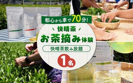 お茶摘み体験 体験チケット【ランチなし】[BDAT007]