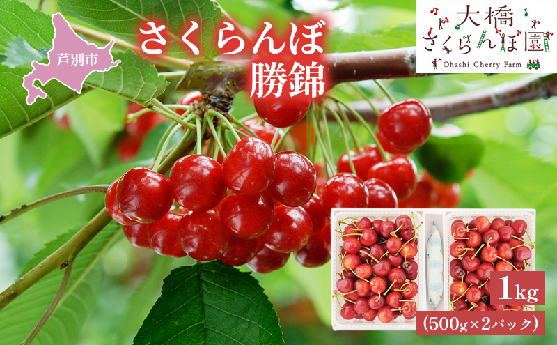 【先行受付】さくらんぼ 勝錦1kg（500g×2パック）サクランボ 赤 大橋 オリジナル 希少