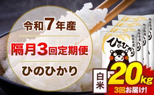 【隔月3回定期便】米 令和7年産ひのひかり 白米 定期便 20kg《お申込み翌月から出荷》熊本県 菊池市 国産 熊本県産 白米 精米 送料無料 ヒノヒカリ こめ お米