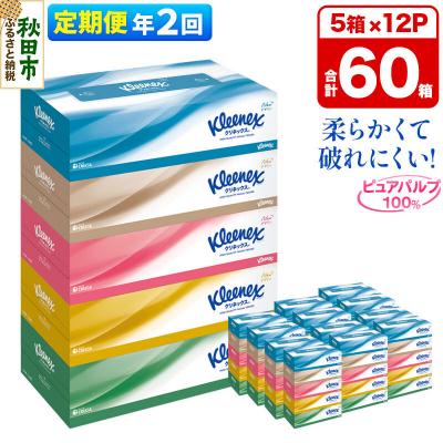 ふるさと納税 秋田市 《2回定期便》クリネックス ティシュー 60箱 ティッシュ|15_nsc-031202