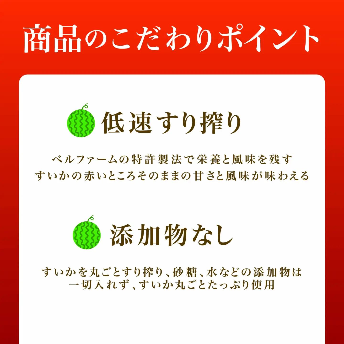 すいかジュース 100g×15P ジュース すいか