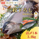 【ふるさと納税】【2025年6月中旬発送】海峡サーモン船上活〆3.0kg1本 (冷蔵)【配送不可地域：離島】【1153594】