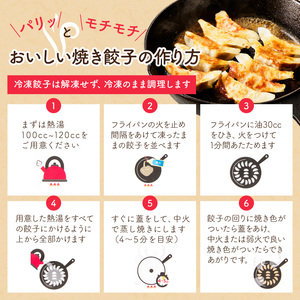 【3回定期便】本店鉄なべ　冷凍ぎょうざ48個入り【040-0006】