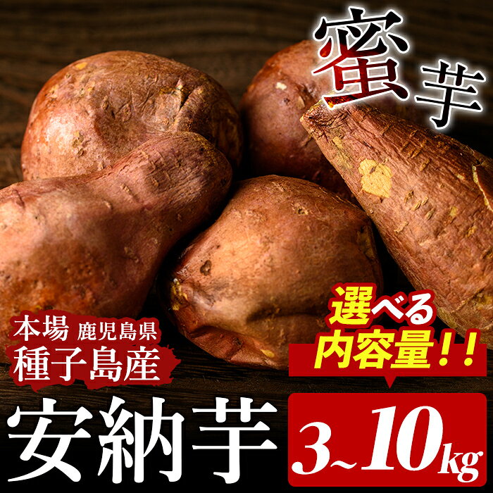 【ふるさと納税】内容量が選べる！種子島産 安納芋(3〜10kg) 国産 安納芋 さつまいも さつま芋 蜜芋 本場 種子島 芋 イモ いも 安納いも 野菜 常温 【種子島安納株式会社】※北海道・沖縄配送不可※