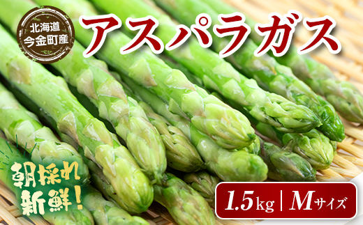 【先行予約】朝採れ新鮮アスパラ 1.5kg（Mサイズ） (2027年3月下旬~6月中旬または2027年7月上旬~9月上旬発送)  F21X-454