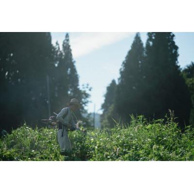 ふるさと納税 魚津市 【新米】環境保全米こしひかり　玄米10kg【北アルプス早月川最上流の棚田米】 |  | 02