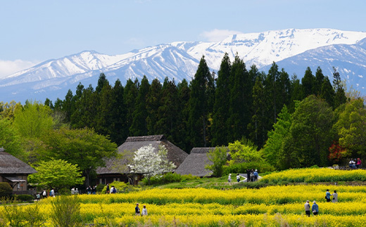 【みちのく杜の湖畔公園】シルバー（65歳以上）1名年間パスポート＋駐車場１台分年間パスポート　【04324-0402】