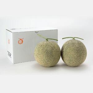 【先行予約】香り豊かな 北海道レッドメロン 1.6kg×2玉(2026年7月下旬から発送開始)  | メロン_01381