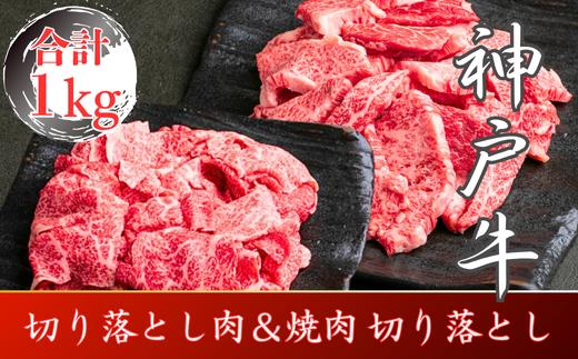訳あり 神戸牛 切り落とし肉＆焼肉用(部位おまかせ）計800g SOSY2