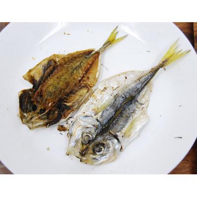 ふるさと納税 忠岡町 国産 天然魚ジャーキー【鯵/アジ】開き 100g×3袋セット 犬猫用 |  | 01
