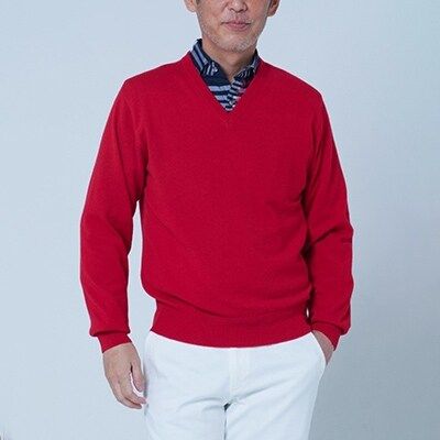 【ふるさと納税】日本製 カシミヤ100% Vセーター 赤 2Lサイズ [2608]