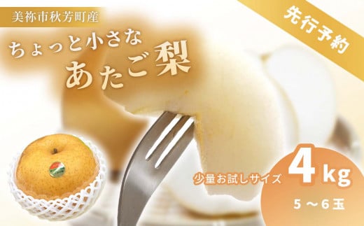 【 数量限定 】ちょっと小さな あたご梨 4kg ｜ 梨 あたご  なし フルーツ 果物 くだもの BIG ビッグ 大きい 特産品 美祢市 山口県 美祢 秋芳 秋芳町 カルスト台地  期間限定 4kg