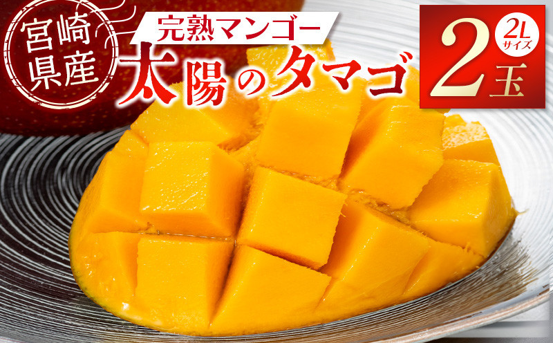 
宮崎特産品　宮崎県産完熟マンゴー　太陽のタマゴ　2L×2個_M275-004
