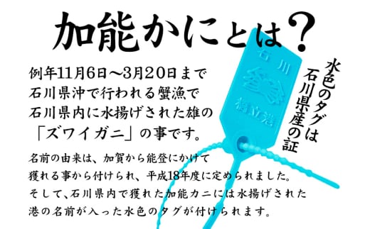 石川県産 加能かに ズワイガニ ( 産地証明タグ付 ) 訳あり 足折れ 大サイズ 2～3匹 合計2.0kg 1月20日～ 3月31日発送 産地証明 訳あり 家庭用 自宅用 足折れ 先行予約 予約 ブラ