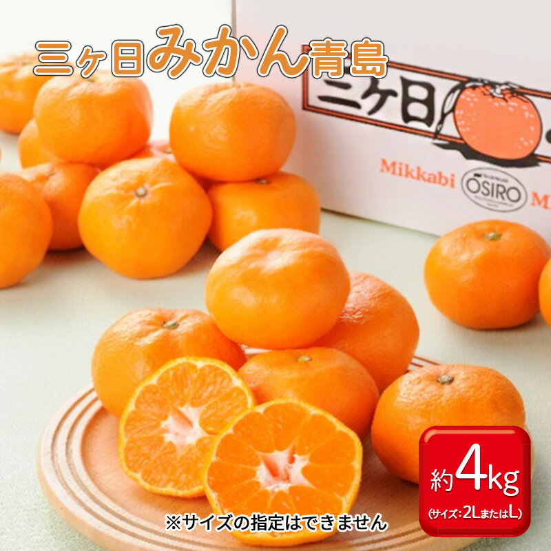 【ふるさと納税】三ヶ日みかん 青島 4kg L又は2L 1月中旬より順次発送 みかん ミカン 蜜柑 青島みかん 三ヶ日 果物 くだもの フルーツ 旬の果物 旬のフルーツ 柑橘 柑橘類 糖度 静岡 静岡県 浜松市　お届け：2026年1月中旬～2月中旬