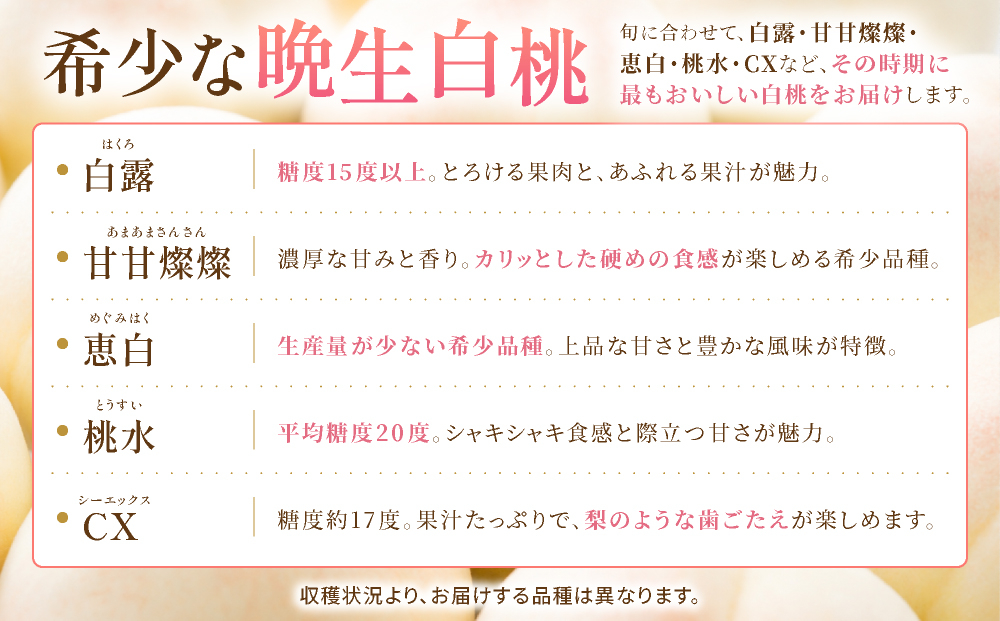 【先行予約】岡山の白桃・晩生　1.5kg箱　9月上旬から順次発送予定 約1.5kg箱