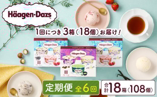 ＜全6回定期便・連続＞ハーゲンダッツ『アソートボックス3箱セット(合計18箱)』アイスクリーム アイス スイーツ デザート_H0026-036