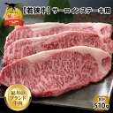 【ふるさと納税】【福井のブランド牛肉】若狭牛 サーロインステーキ用 510g（170g×3枚）| 肉 牛肉 国産 黒毛和牛 和牛 冷凍 170グラム×3 510グラム