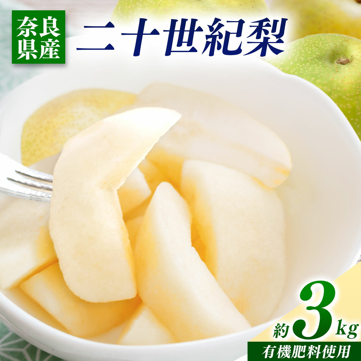 【ふるさと納税】 梨 二十世紀梨 3kg | フルーツ 果物 くだもの 梨 なしナシ 奈良県 五條市 ※ 9月上旬頃から順次発送予定