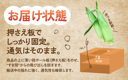 ≪先行予約≫ 令和8年産（2026年収穫）黄色とうもろこし 7本 直売所で大人気！ 愛知県 豊橋市 夏野菜 野菜 ミネラルたっぷり 海風そだち 潮風 BBQ 家族で 大容量 豊橋 ともちゃんのやさい