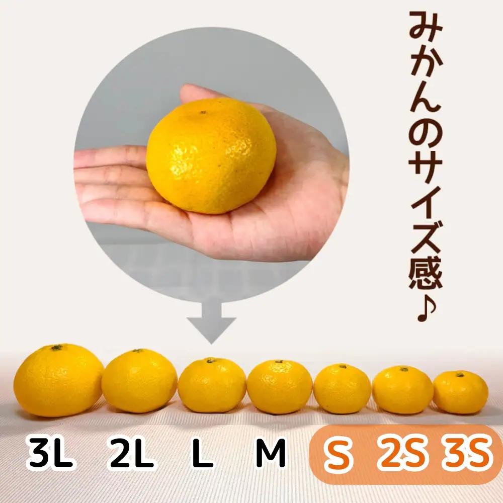 小玉みかん 極早生 箱込 2.5kg (内容量約 2.3kg)3S～Sサイズ混合 秀品 優品 混合 有田みかん 和歌山県産
