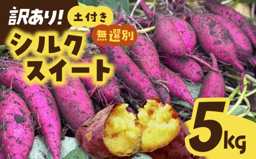 さつまいも シルクスイート【訳あり】土付き 無選別 5kg |  訳あり 採れたて 新物 シルクスイート しるくすいーと・SS～Lサイズ さつまいも 茨城県 サツマイモ 生芋 土付き 焼き芋